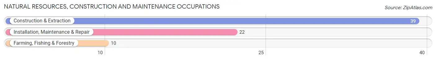 Natural Resources, Construction and Maintenance Occupations in Dalton City