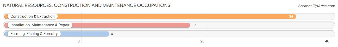 Natural Resources, Construction and Maintenance Occupations in Damiansville