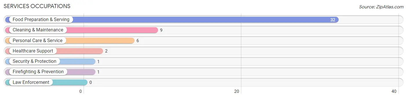 Services Occupations in Damiansville