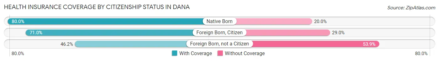 Health Insurance Coverage by Citizenship Status in Dana