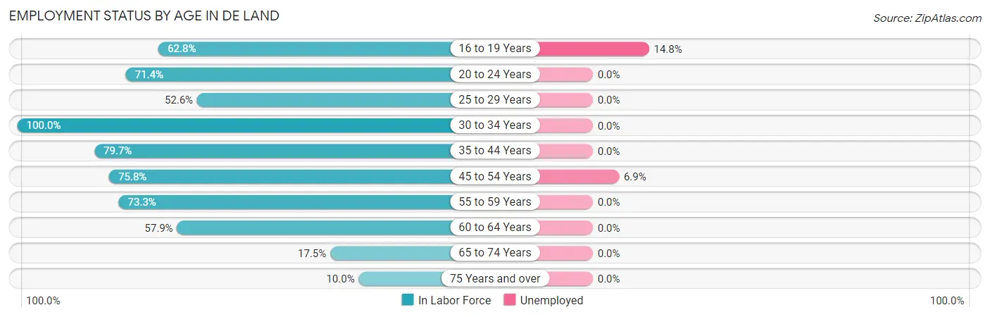Employment Status by Age in De Land