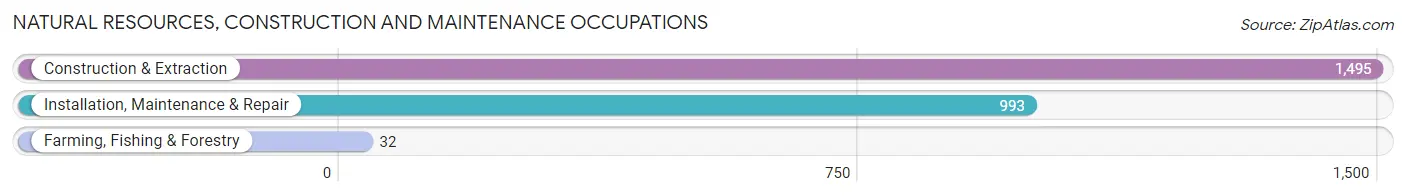 Natural Resources, Construction and Maintenance Occupations in Des Plaines