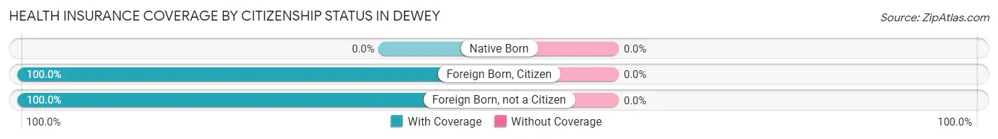 Health Insurance Coverage by Citizenship Status in Dewey