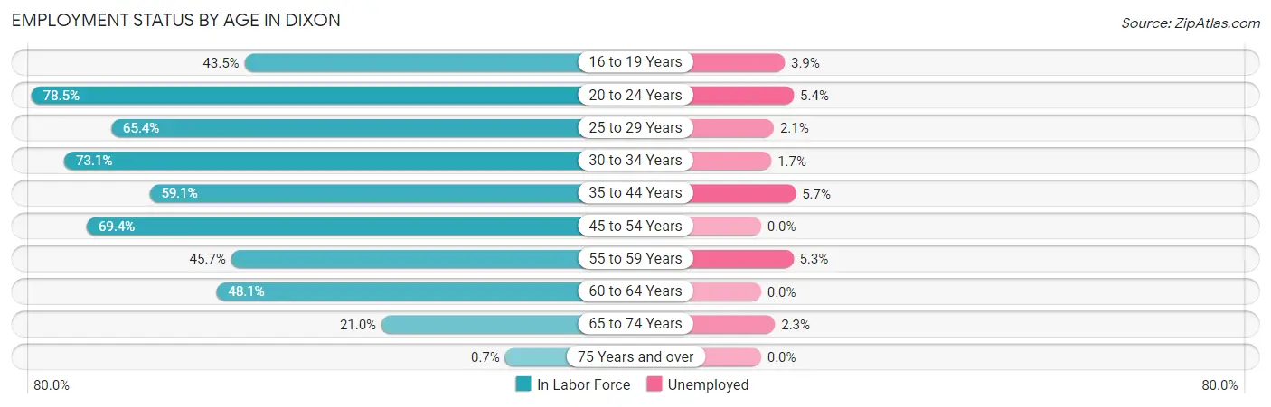 Employment Status by Age in Dixon