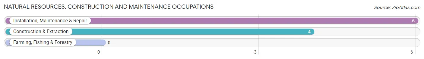 Natural Resources, Construction and Maintenance Occupations in Dongola