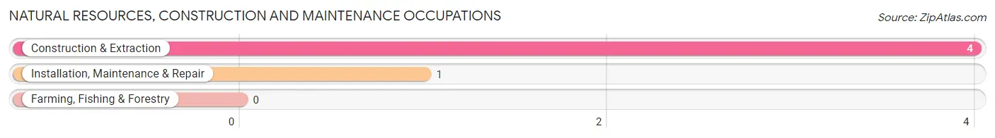 Natural Resources, Construction and Maintenance Occupations in Donnellson