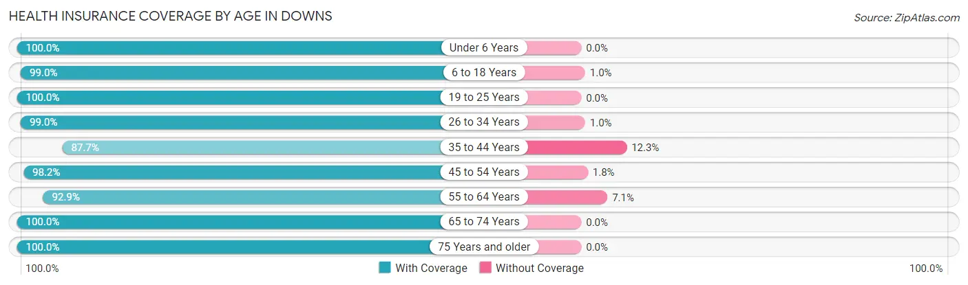 Health Insurance Coverage by Age in Downs