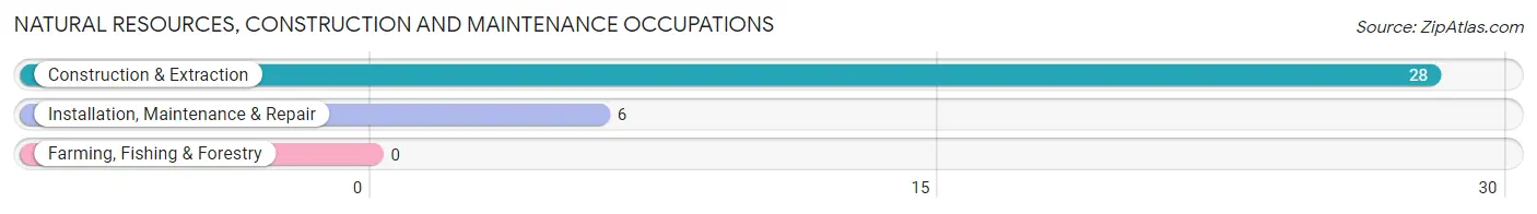 Natural Resources, Construction and Maintenance Occupations in Downs