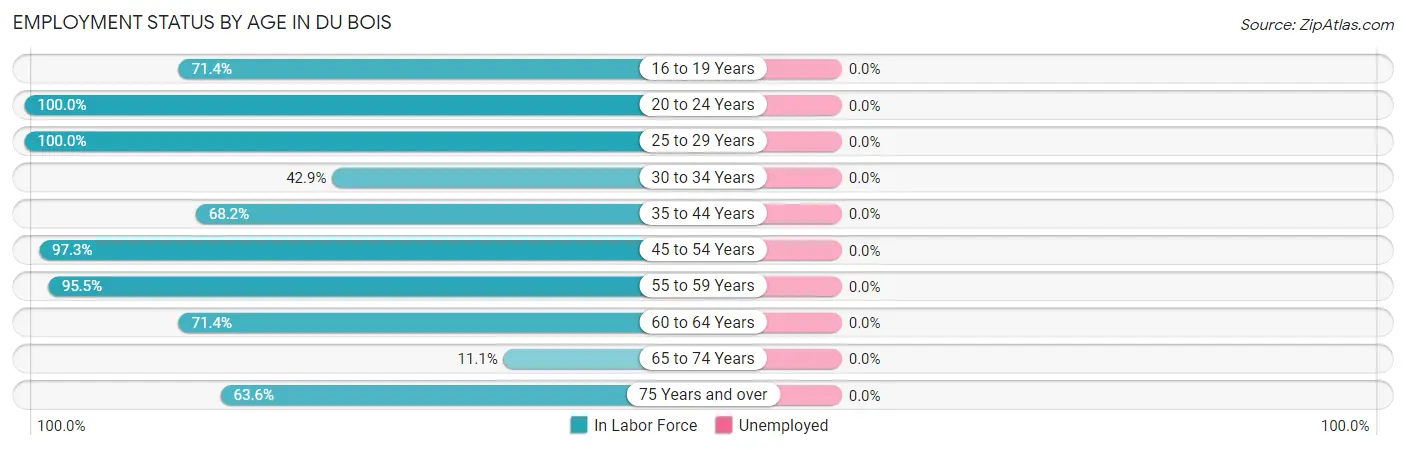 Employment Status by Age in Du Bois