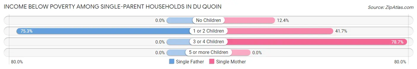 Income Below Poverty Among Single-Parent Households in Du Quoin