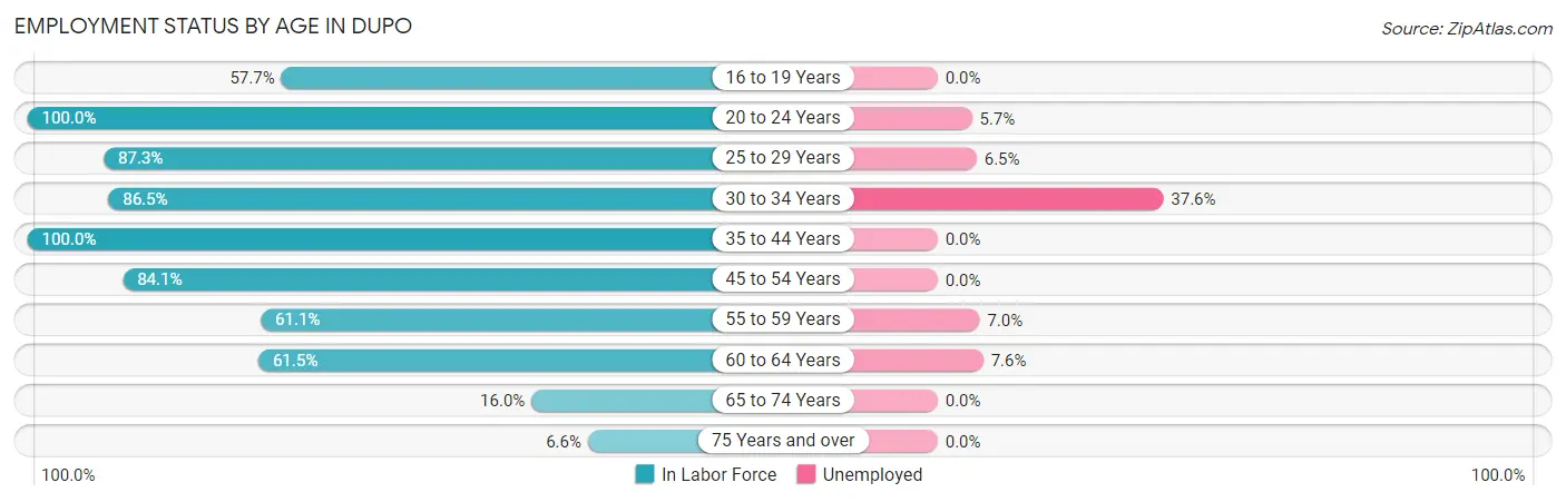 Employment Status by Age in Dupo