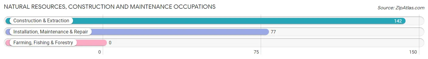 Natural Resources, Construction and Maintenance Occupations in Dupo