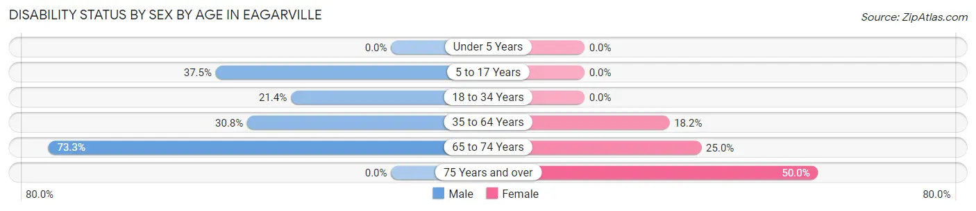 Disability Status by Sex by Age in Eagarville