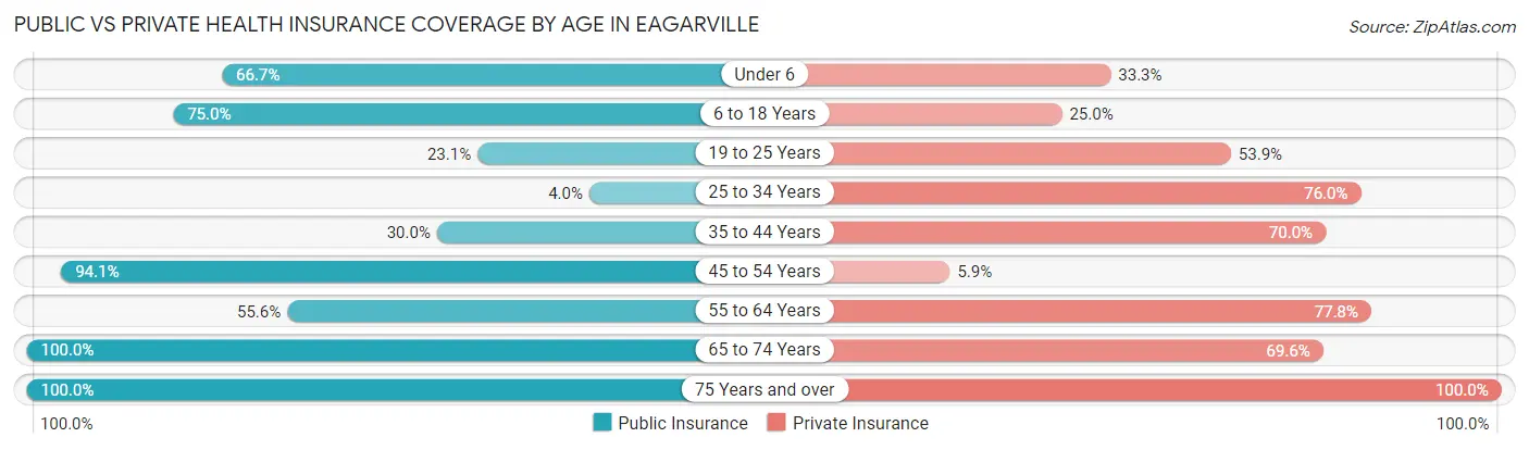 Public vs Private Health Insurance Coverage by Age in Eagarville