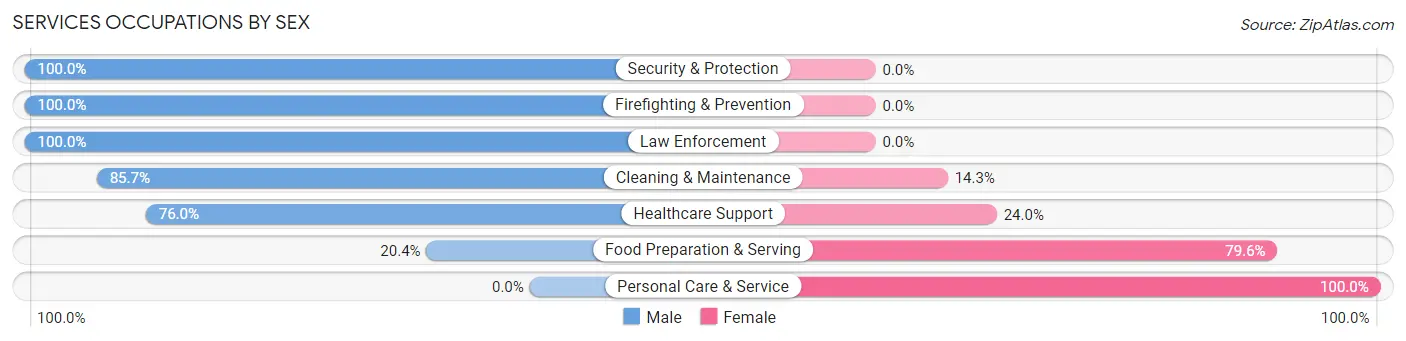 Services Occupations by Sex in East Dubuque