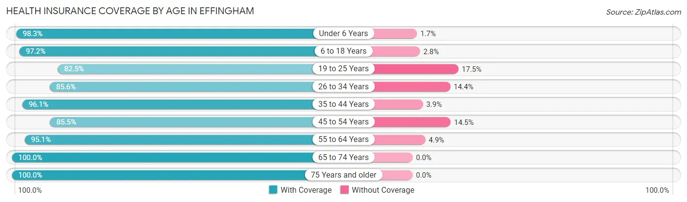 Health Insurance Coverage by Age in Effingham