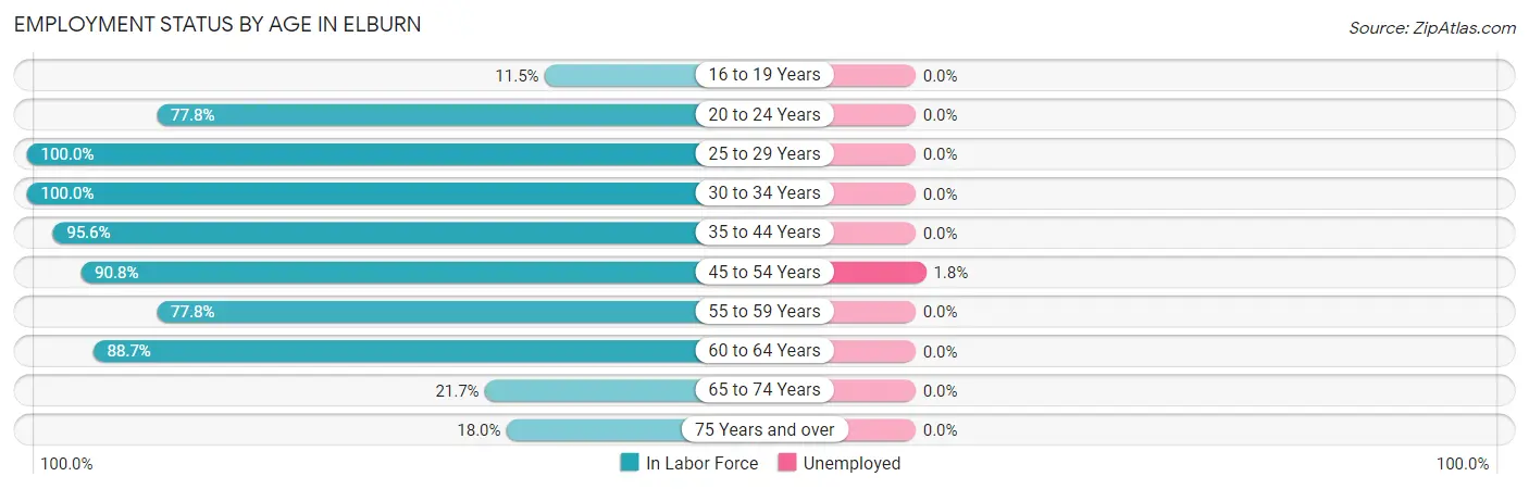 Employment Status by Age in Elburn