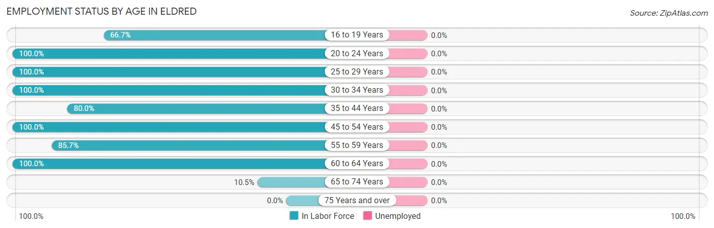 Employment Status by Age in Eldred
