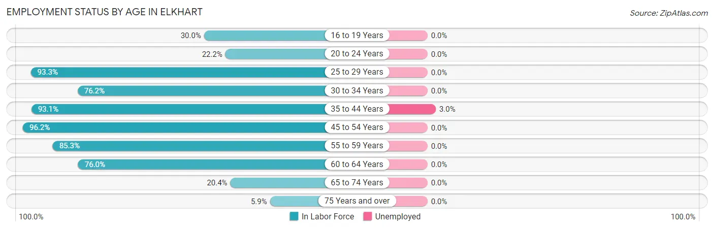 Employment Status by Age in Elkhart