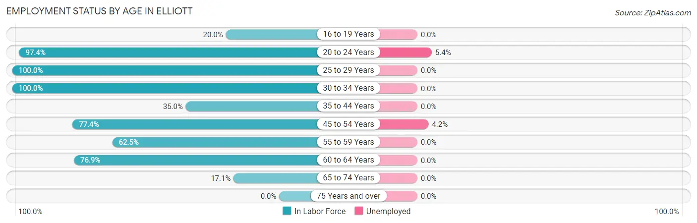 Employment Status by Age in Elliott