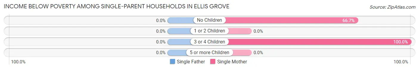 Income Below Poverty Among Single-Parent Households in Ellis Grove