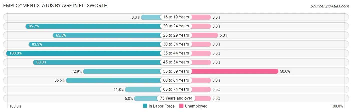 Employment Status by Age in Ellsworth