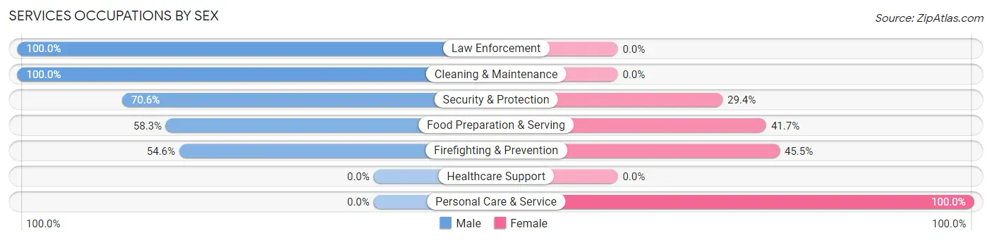Services Occupations by Sex in Elmwood