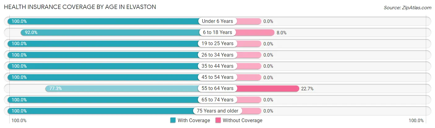 Health Insurance Coverage by Age in Elvaston