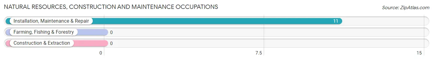 Natural Resources, Construction and Maintenance Occupations in Elwin