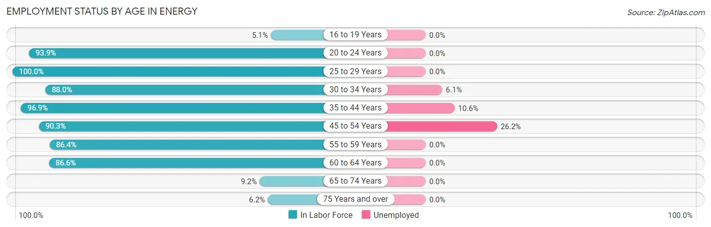 Employment Status by Age in Energy