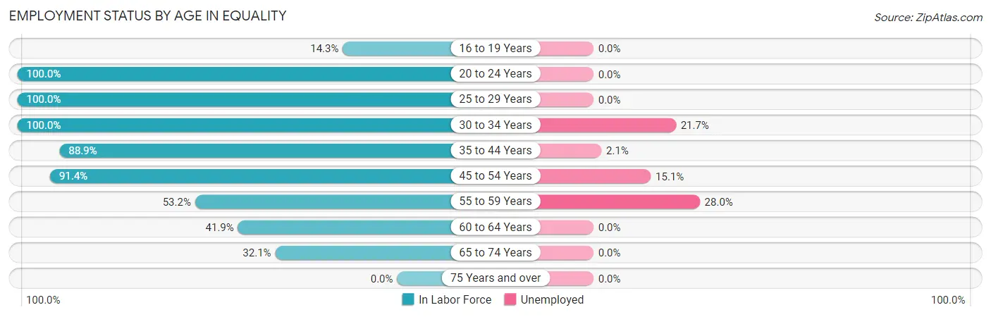 Employment Status by Age in Equality