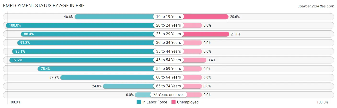 Employment Status by Age in Erie