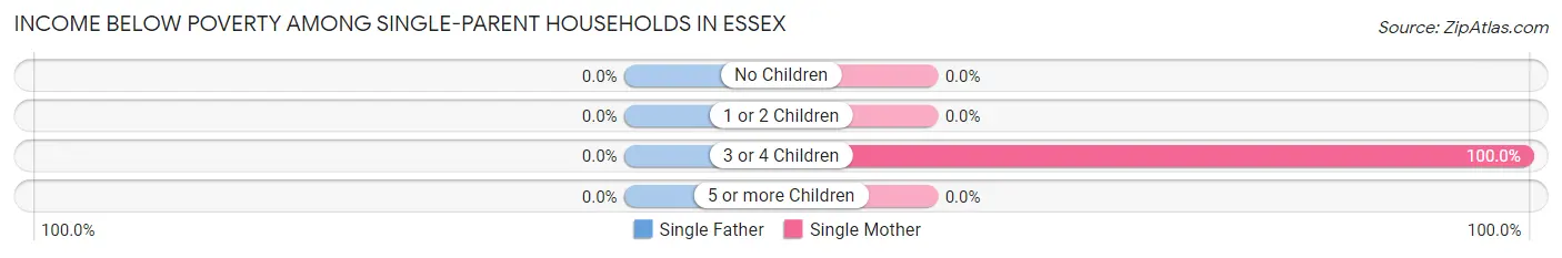 Income Below Poverty Among Single-Parent Households in Essex