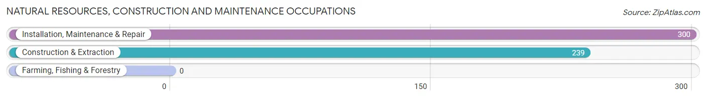 Natural Resources, Construction and Maintenance Occupations in Fairview Heights