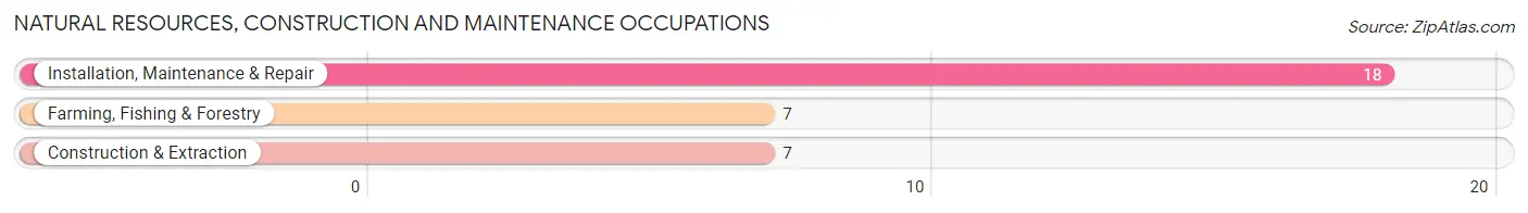 Natural Resources, Construction and Maintenance Occupations in Fairview