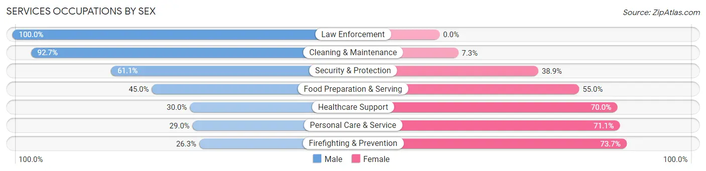 Services Occupations by Sex in Farmer City