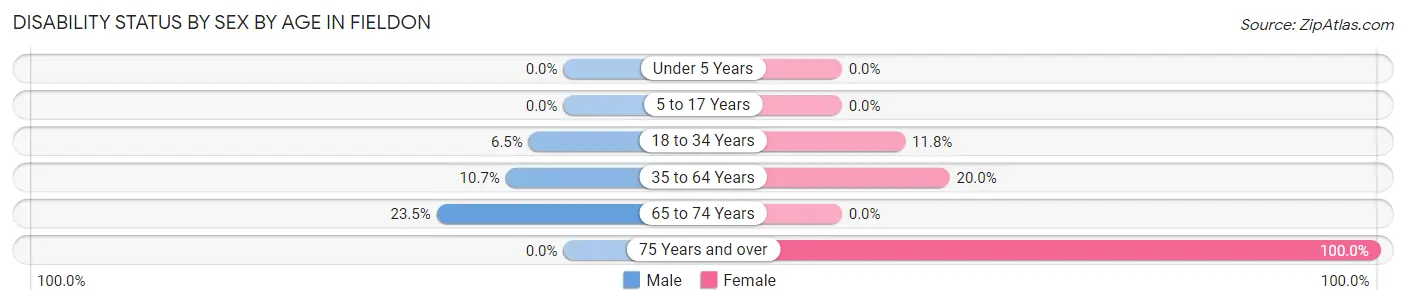 Disability Status by Sex by Age in Fieldon