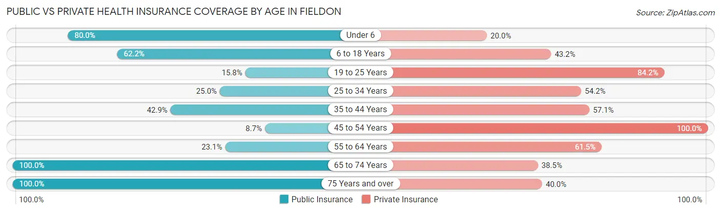 Public vs Private Health Insurance Coverage by Age in Fieldon
