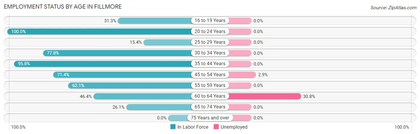 Employment Status by Age in Fillmore