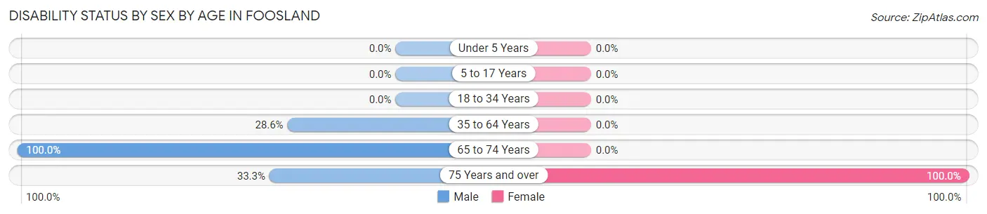Disability Status by Sex by Age in Foosland