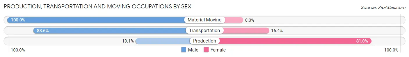 Production, Transportation and Moving Occupations by Sex in Ford Heights