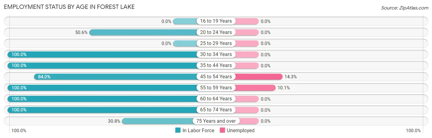 Employment Status by Age in Forest Lake