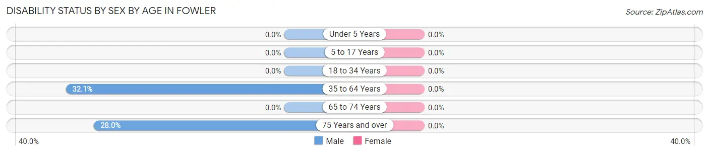 Disability Status by Sex by Age in Fowler