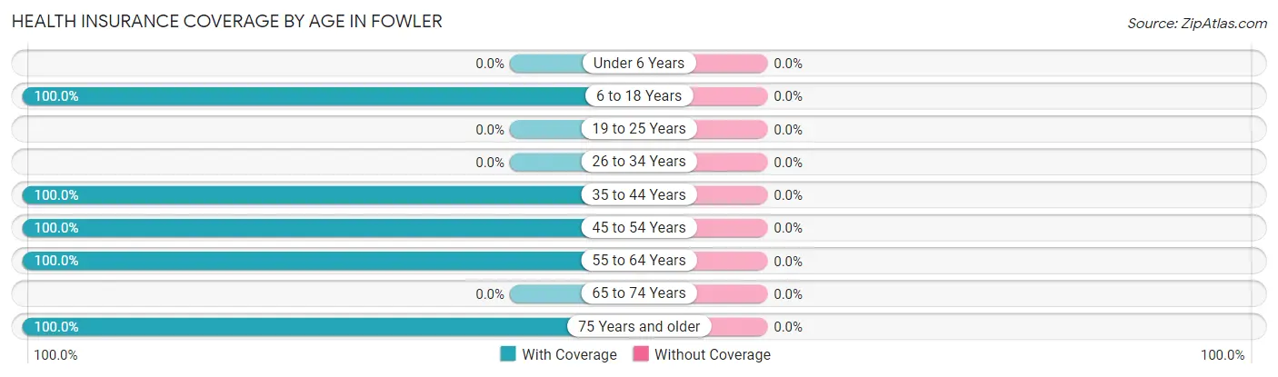 Health Insurance Coverage by Age in Fowler