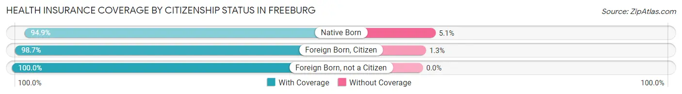 Health Insurance Coverage by Citizenship Status in Freeburg