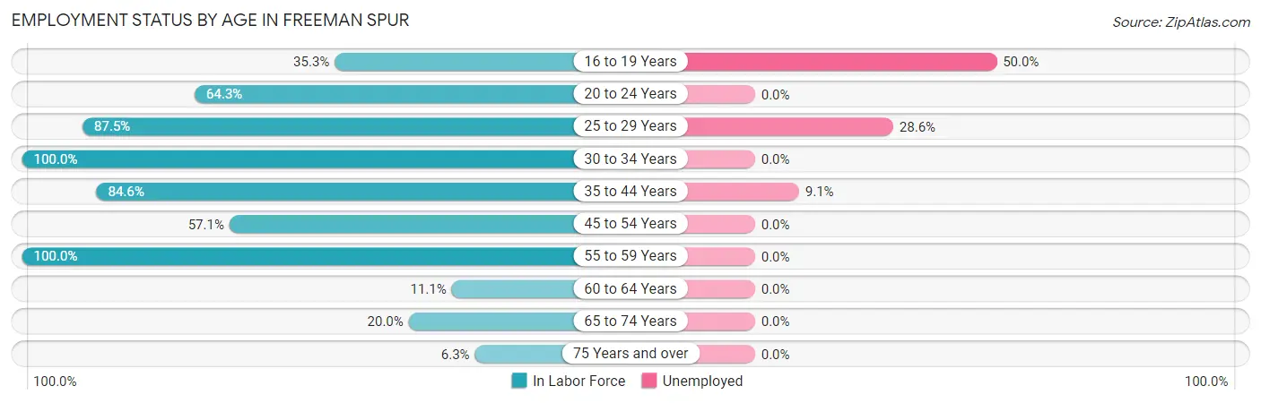 Employment Status by Age in Freeman Spur