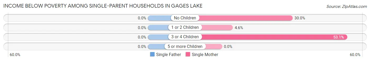 Income Below Poverty Among Single-Parent Households in Gages Lake
