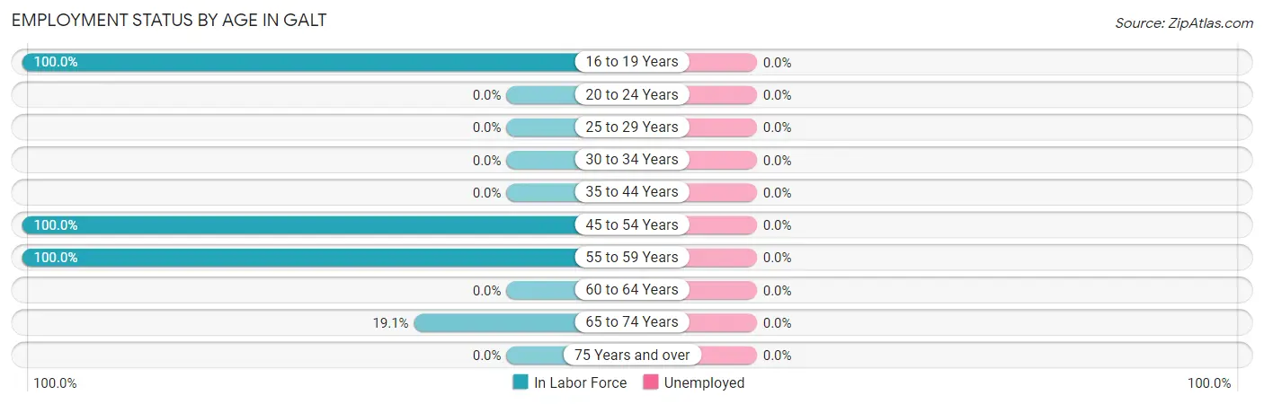 Employment Status by Age in Galt