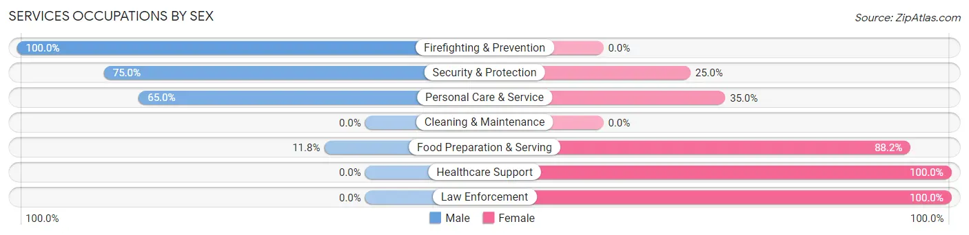 Services Occupations by Sex in Georgetown