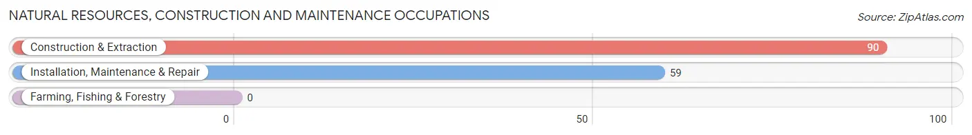 Natural Resources, Construction and Maintenance Occupations in Grandwood Park